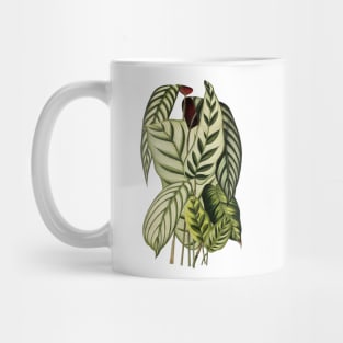 Assorted Prayer plants - Belgique horticole, journal des jardins et des vergers - Botanical Illustration Mug